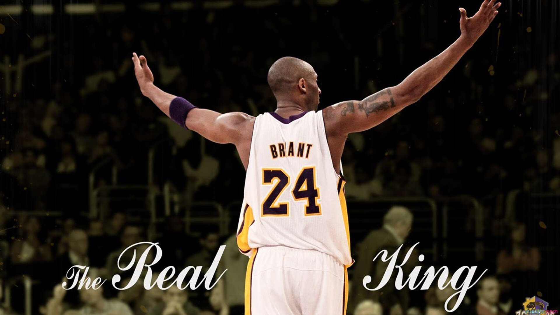 开云体育app在线-体育焦点新闻全景式报道,体育新闻专题报道